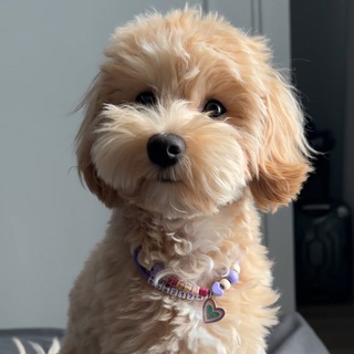 Никому не здрасьте