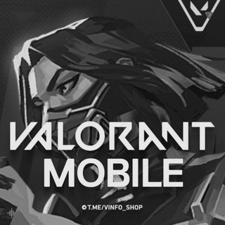 VINFO SHOP China 🇨🇳 | регистрация wechat и китайский донат valorant mobile