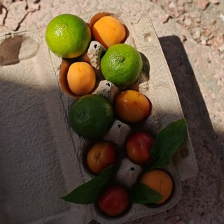 Виновата еда?