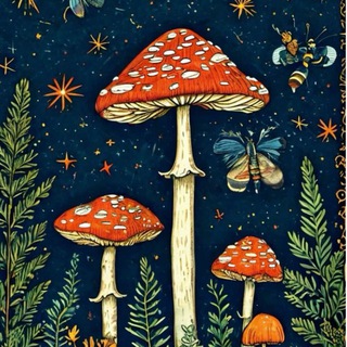 Vintage Mushroom | Second