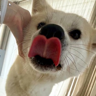 Берлога вайпера