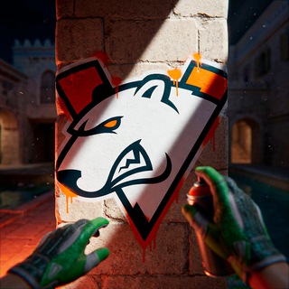 Virtus.pro CS2 Community