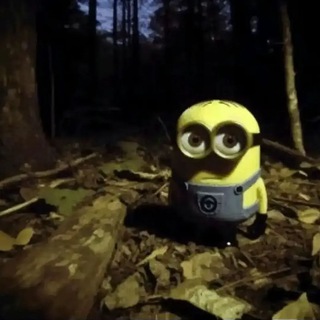 Вирусы Android/PC