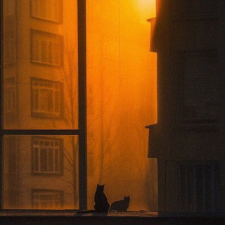 Вышел погулять