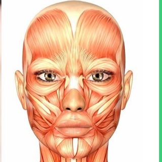 Остеопрактика & ВИТАПЛАСТИКА Москва Бережная Елена