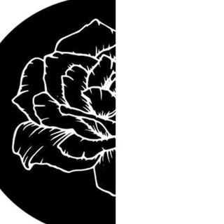 VITA NUOVA | Образовательный проект «Новая жизнь»