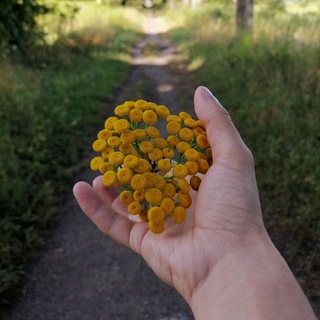 #витальныйисход