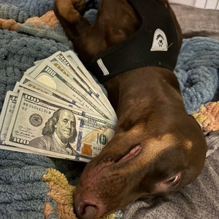 в крипте с либерманом