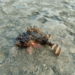 Рыбалка На крючках