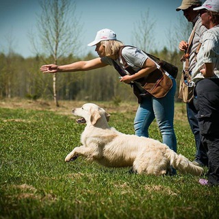 Кинолог Влада Чернакова