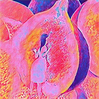 Влажные новости