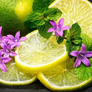 Владивостокские тропики