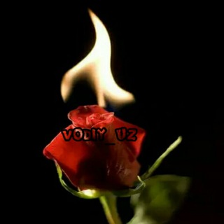 👑VODIY_UZ👑