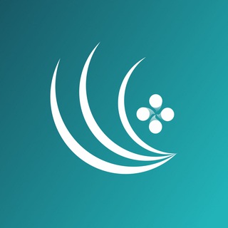 Волга–IT | Цифровая олимпиада