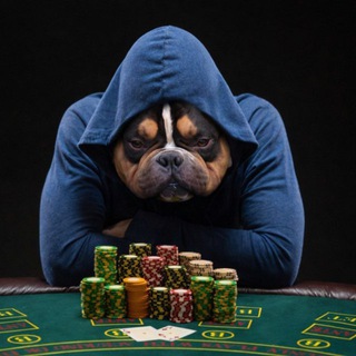 Володя Лудик