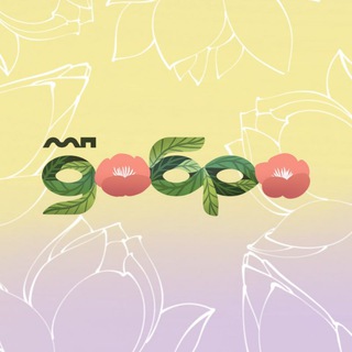 Волонтёры Приморья