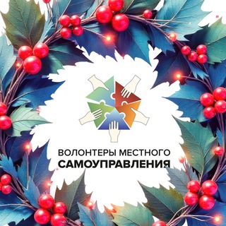 Волонтеры местного самоуправления