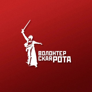 Волонтёрская Рота Воронежская область