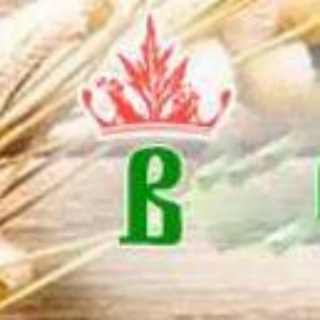 Волшебница