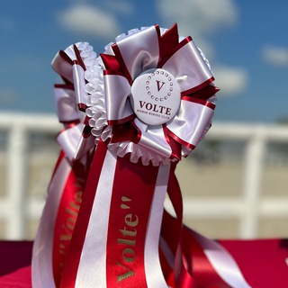 Volte соревнования 2026