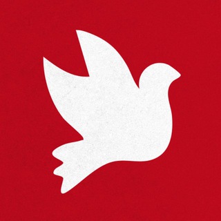 Волонтеры Мира