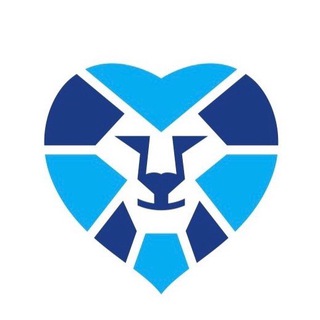 Волонтеры Зенита 💙