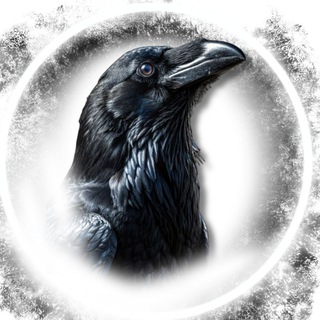 Ворон между мирами