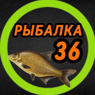 Рыбалка Воронеж и область