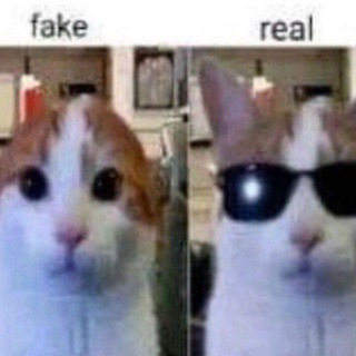 Ворти | розыгрыши