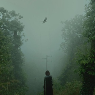 Veil of Great Surprises