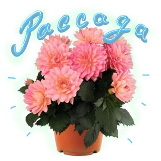 Во саду ли, в огороде