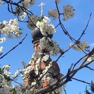 Православная школа для взрослых «Преображение»