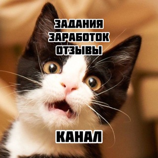 Заработок на заданиях отзывы 🚀