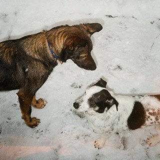 Клуб анонимных воздуханов