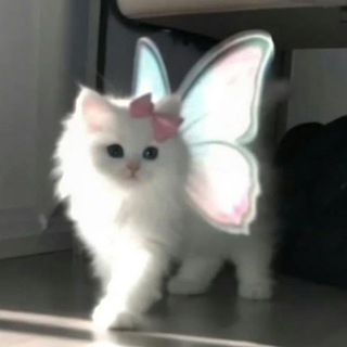 Anastasia Alekseevna