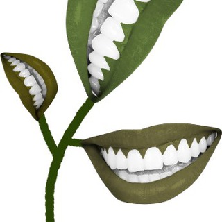 В сайтах денег нет