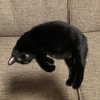 Все в курсе, звони, кому хочешь