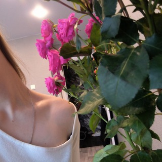 Мой дневник