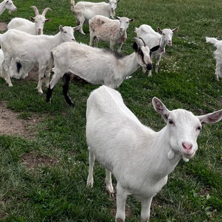 Все деревни Чувашии