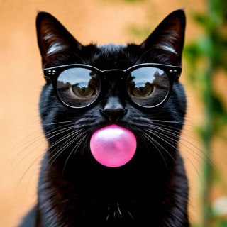 Все кричали, кот молчал