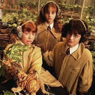 ✨ Вселенная Гарри Поттера ✨