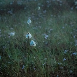 поле не пахано 🌾