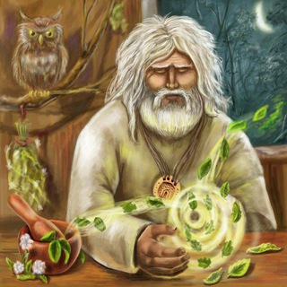 🔅ТРОПА с БаняСлавом🔅