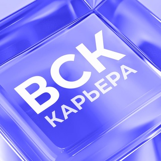 Карьера в ВСК