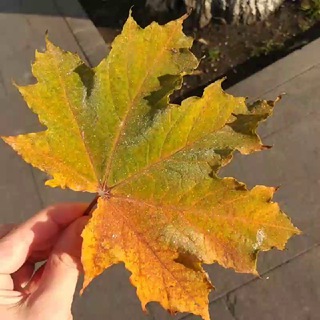 Вслух_стихи и книги👂🎧📚