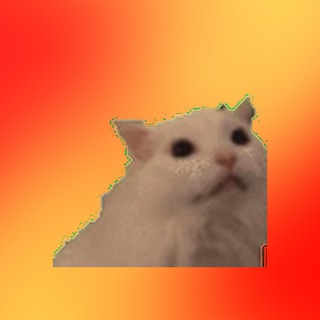 Всратые коты