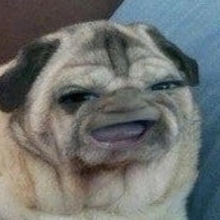 Мои всратые мемы