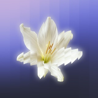 Встреча | Самара