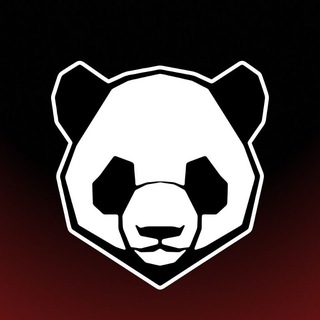 ВСЯ CHINA 🇨🇳