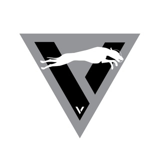 V-Team, рейсинг в МО